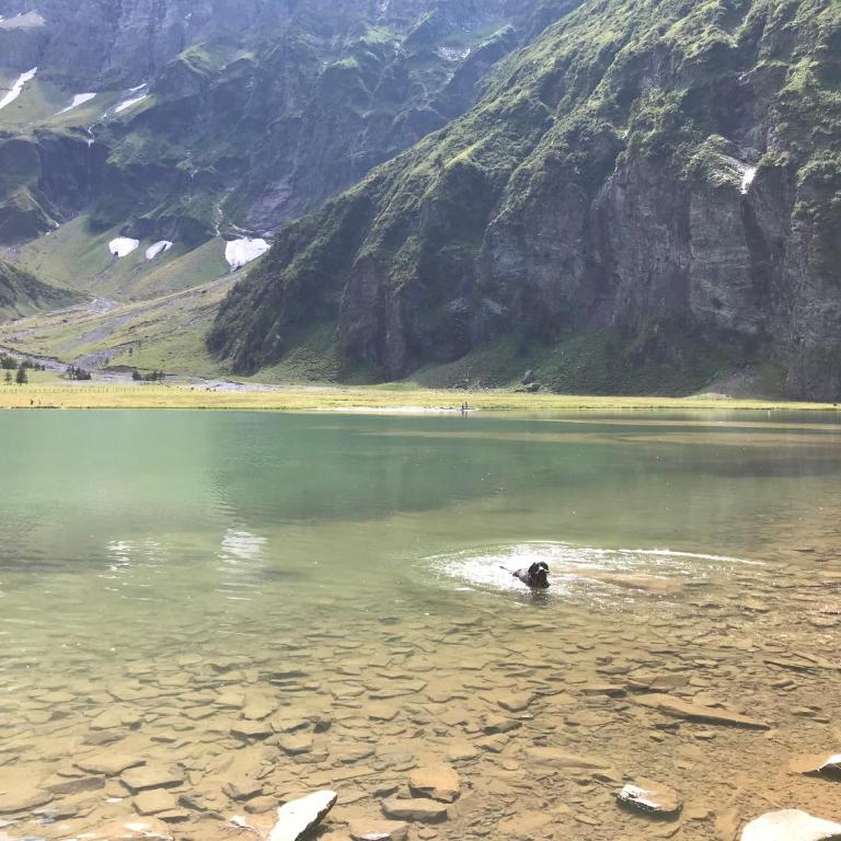 Ferienwohnung Wildkogelblick - Apartment mit 2 Schlafzimmern - 36