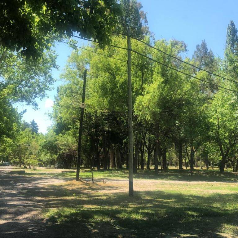 Entrepinos - Casa de 2 dormitorios - 2