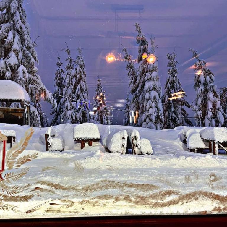 Mr Alek - Luxury Apartment Kopaonik - Deluxe Apartment - 46