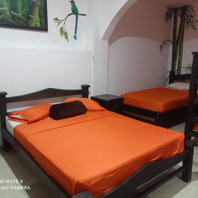 Hotel Plaza Calarcá - Habitación Familiar - 5