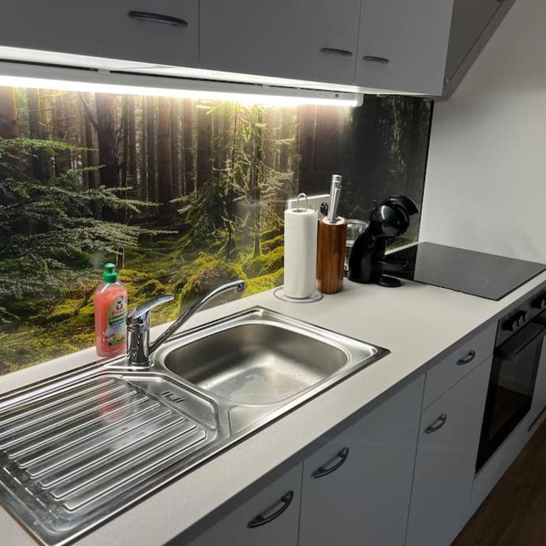 Gemütliches 4er Apartment in Skilift-Nähe - Apartment mit 1 Schlafzimmer - 4