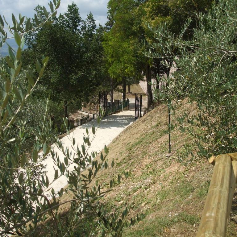 Camere Ramaccia - Camera Matrimoniale con Vista Giardino - 5