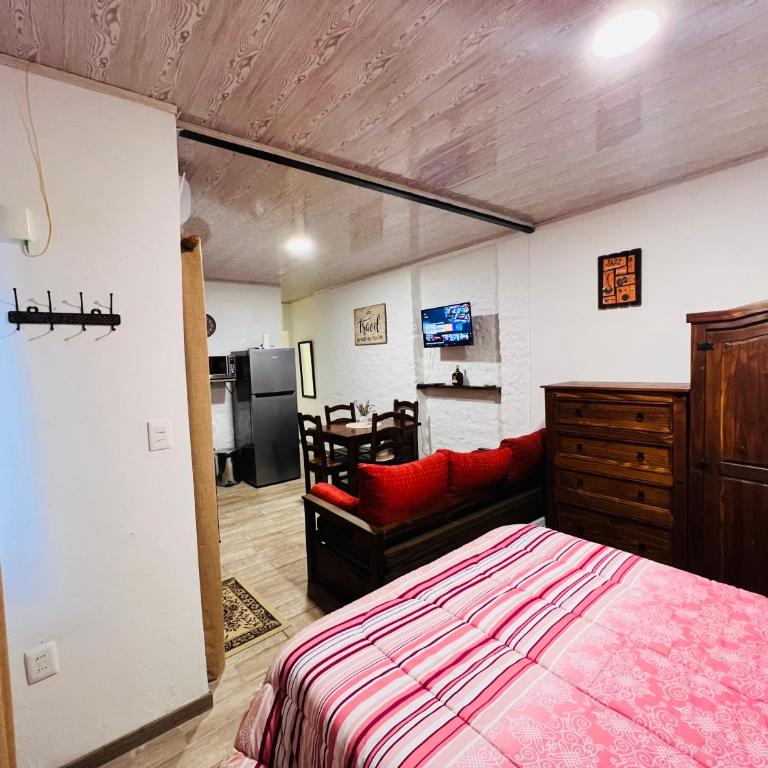 Monoambiente en Durazno - Apartamento de 1 dormitorio - 7
