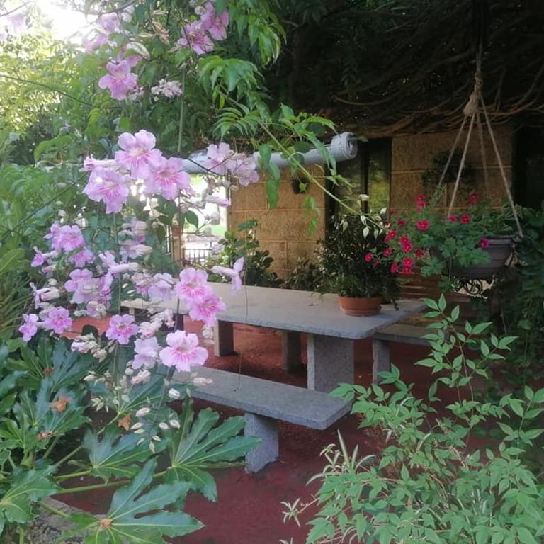 A Casa da Ponte - Casa - 28