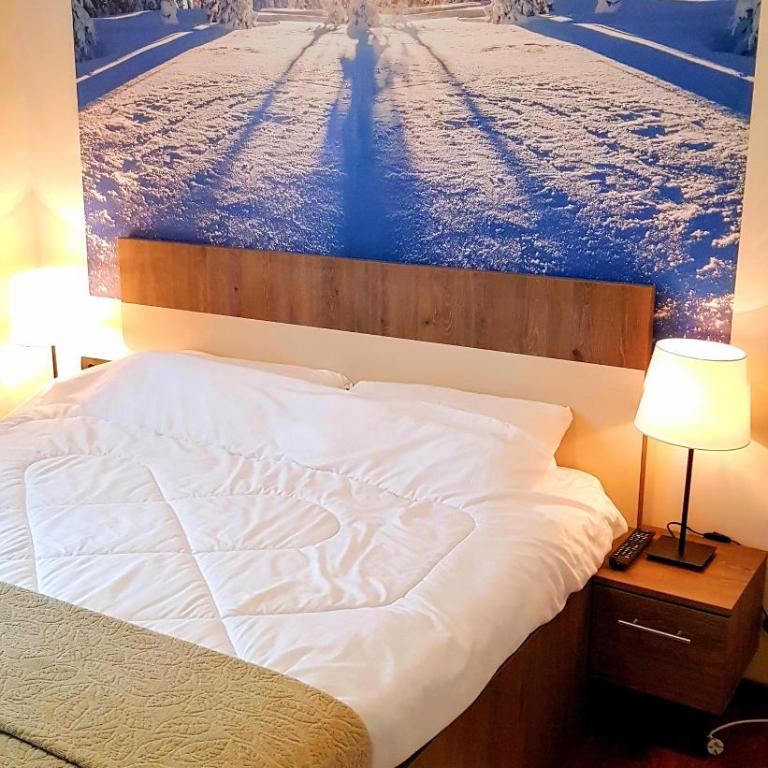 WELLKOP Apartman Kopaonik - Apartman - 3