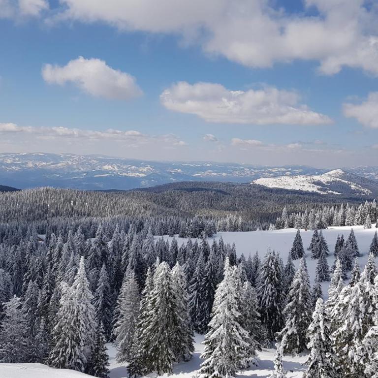 WELLKOP Apartman Kopaonik - Apartman - 22