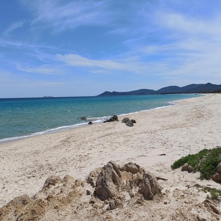 Casa Perla Rei - 50 meters from the beach - Casa Vacanze - 47