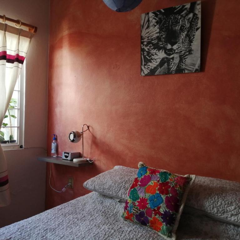 Casa Mixteca Santo Domingo Oaxaca - Casa con 1 dormitorio - 7