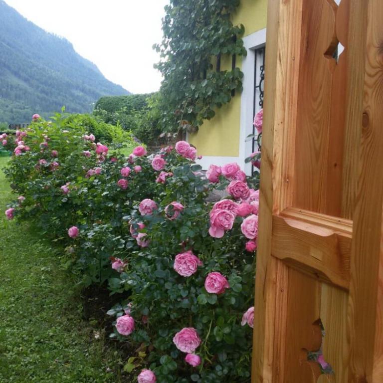 Haus Lerchenreith - Apartment mit Terrasse - 17