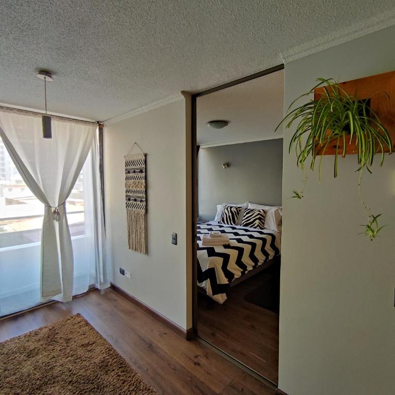 Espacio Norte - Iquique Cavancha - One-Bedroom Apartment - 7