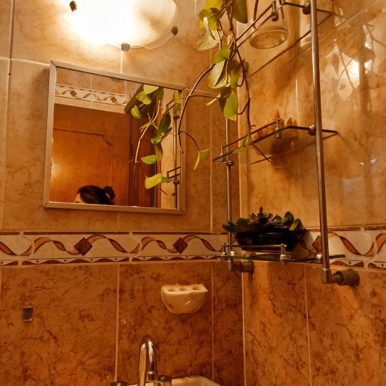 Casa De Los Pájaros - B&B - Habitación con cama grande - 4