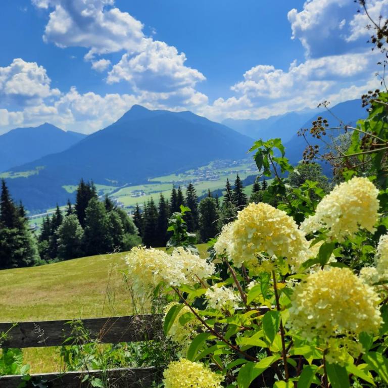 Ferienhaus Weitblick - Haus mit 3 Schlafzimmern - 9