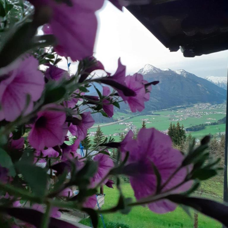 Ferienhaus Weitblick - Haus mit 3 Schlafzimmern - 27