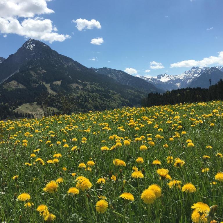 03 BERGFEX Ifenblick mit e-Bikes und Sommer-Bergbahnticket - Apartment mit 1 Schlafzimmer - 20