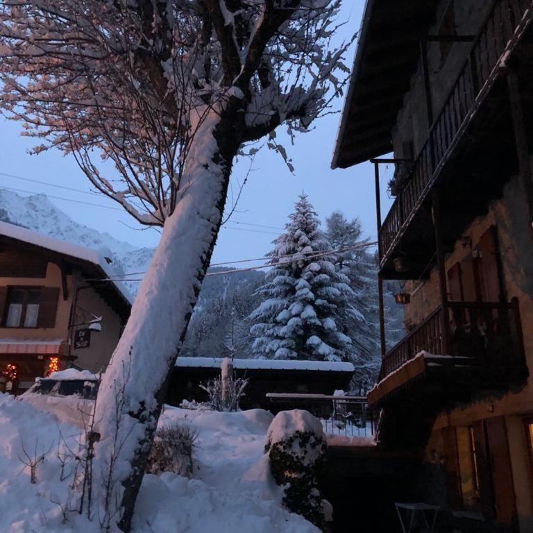 Casa Dolonne - A un passo dallo sci - Two-Bedroom Apartment - 12