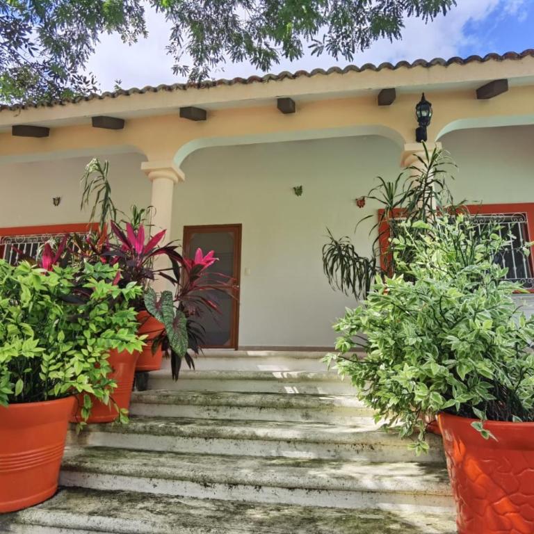 Paradise Ranch - Villa 3 Chambres - 3