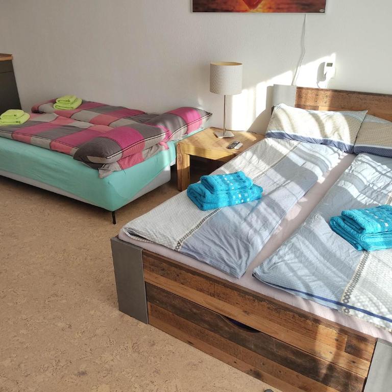 Ferienapartment Alois in Sankt Englmar - Appartamento con 1 Camera da Letto - 16