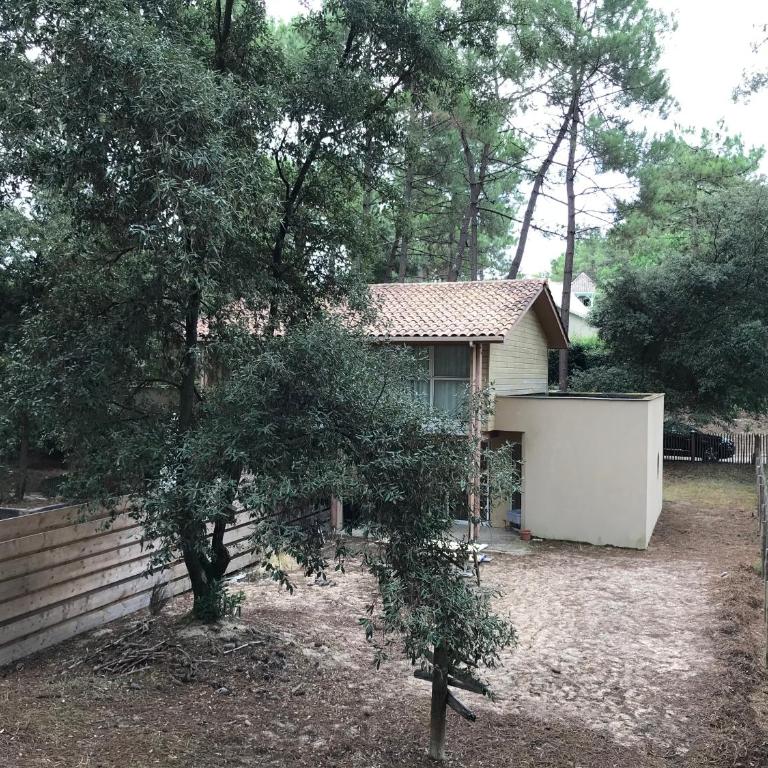 Maison entre forêt et océan - Lacanau Océan - Casa de 2 dormitorios - 20