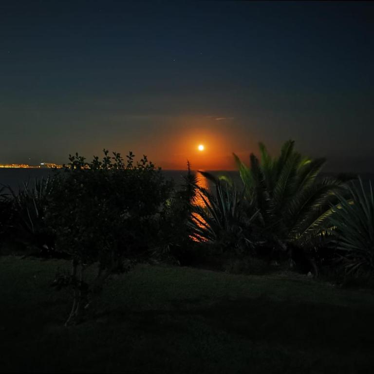 Torremolinos 1ª linea playa - Estudio - 17