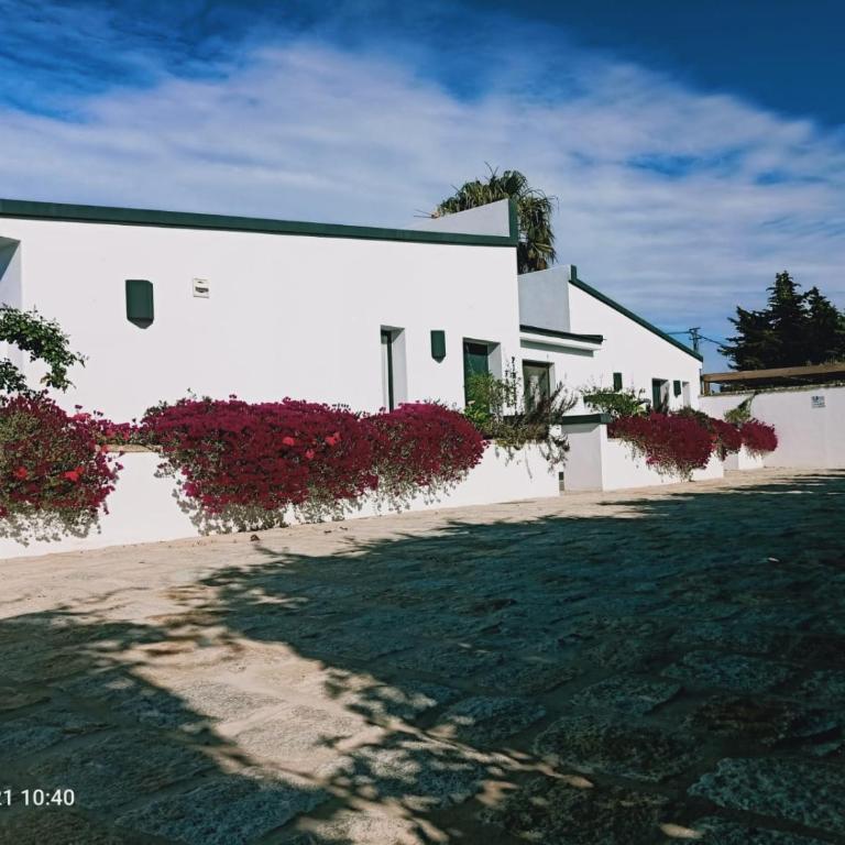 Falsa Pimienta - Sólo Familias y Parejas - Chalet mit 2 Schlafzimmern - 1