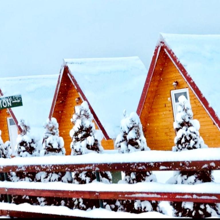 Cottage Borje - One-Bedroom Chalet - 5