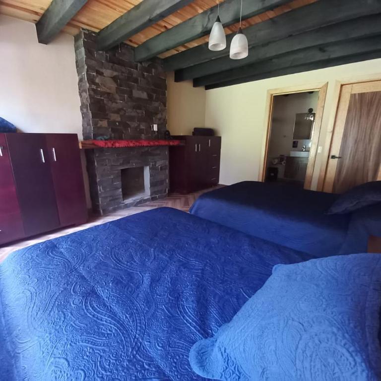 Cabaña Bagheera - Chalet - 12