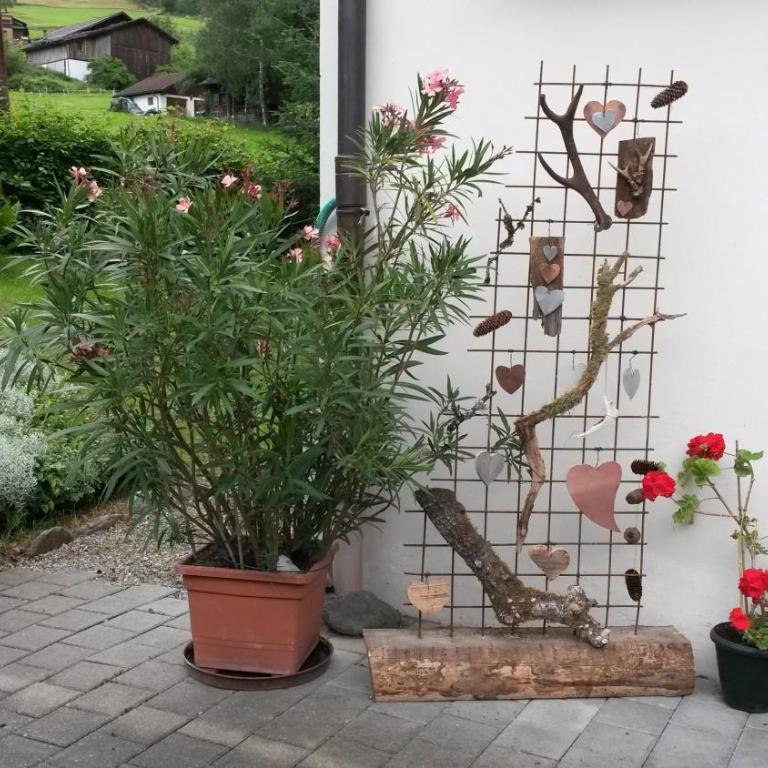 Ferienhaus Büsch - Apartment mit 2 Schlafzimmern (2-4 Erwachsene) - 9