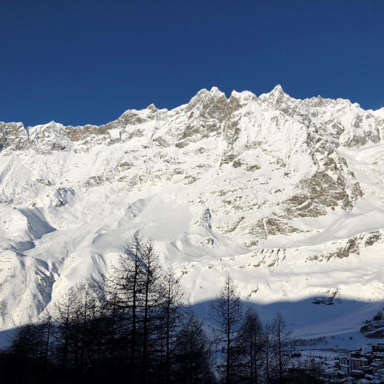 La Coquille de Neige - Appartamento con Vista Montagna - 19
