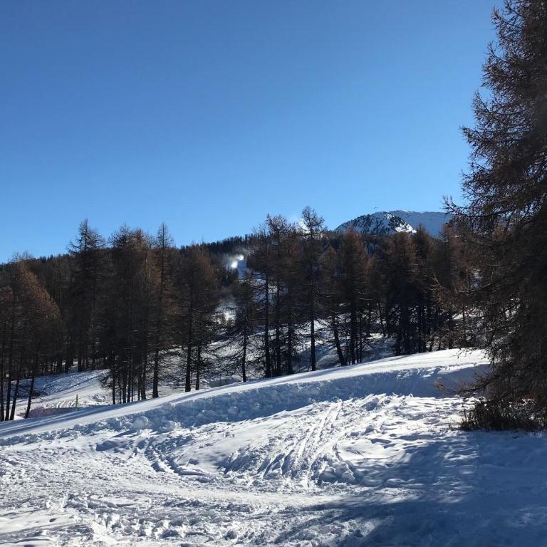 Duplex cosy jusqu'à 6 personnes- chalet des Pléiades - départ skis aux pieds en bordure de piste sans portage - au milieu des fleurs en été - l'autre duplex du chalet est également à nous - Chalet - 16