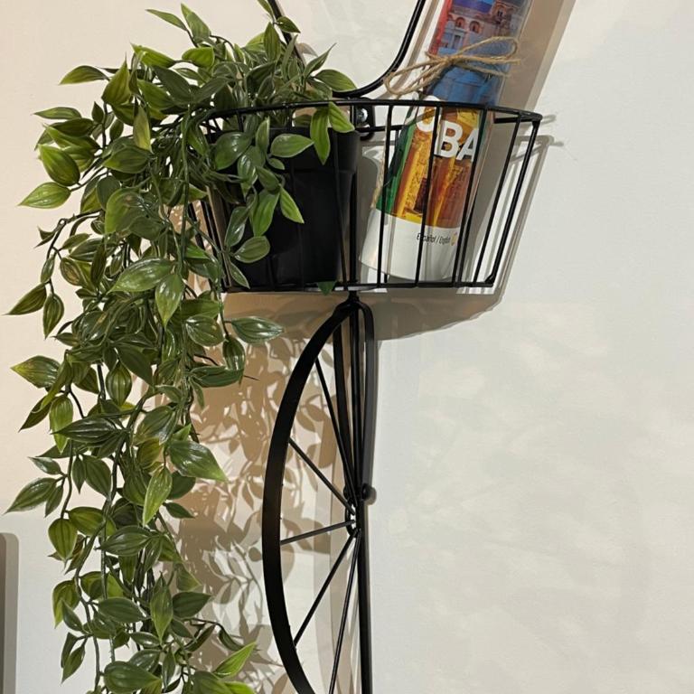 Alojamiento turístico La Orilla Izquierda - Apartamento de 3 dormitorios - 21