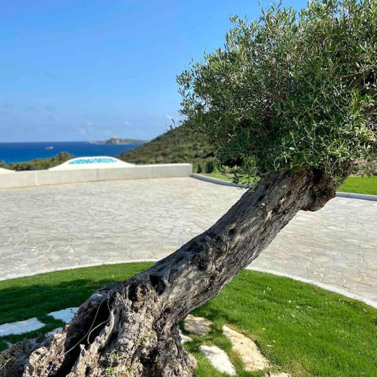 Rokkaria Holidays Apartments - Appartamento con Vista Mare - 21