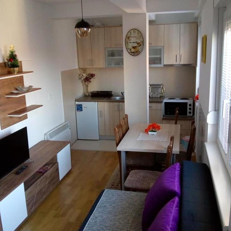 Apartman Mihajlovic - Apartman sa 1 Spavaćom Sobom - 4