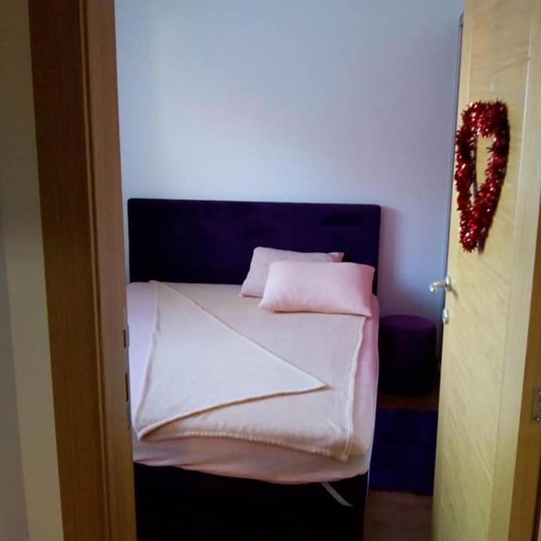 Apartman Mihajlovic - Apartman sa 1 Spavaćom Sobom - 3