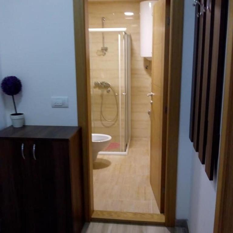Apartman Mihajlovic - Apartman sa 1 Spavaćom Sobom - 5