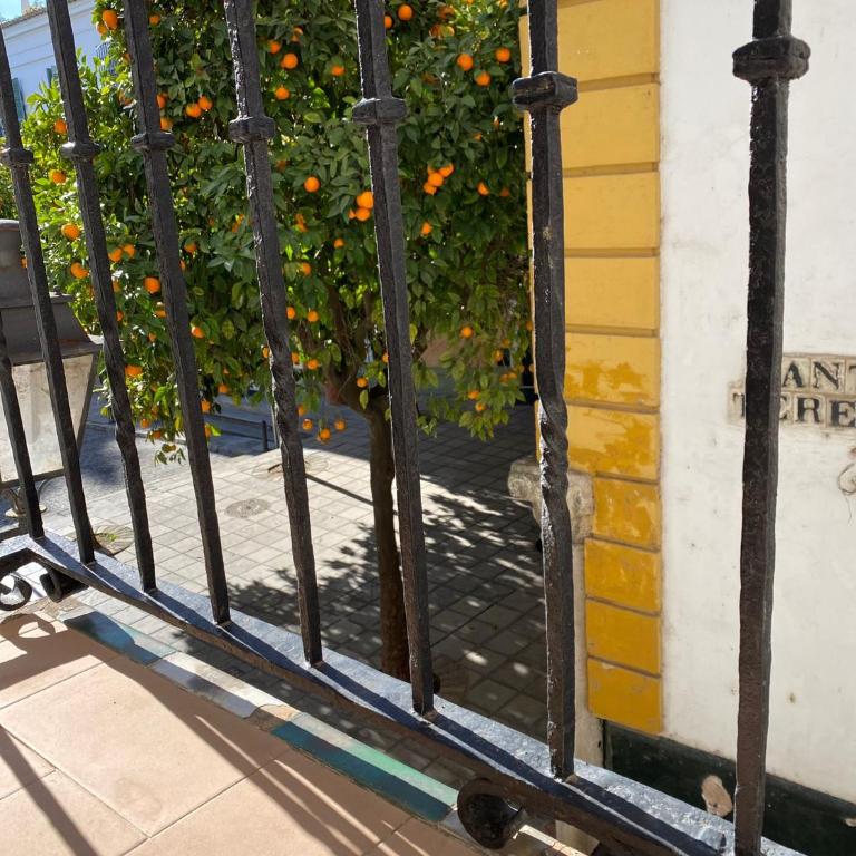 Magnificent double bedroom apartment at Santa Cruz - Apartamento de 2 dormitorios - 45