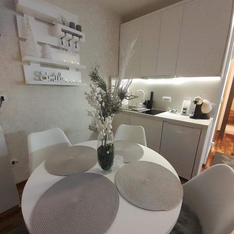 Lux apartmani Dunja Kopaonik Čardaci - WHITE - Apartman sa Pogledom na Planinu - 17