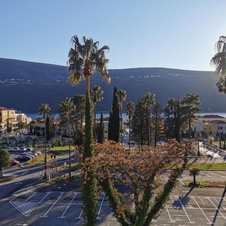 Portonovi Sea View 3-Bedroom Apartment - Apartment with Sea View - 12