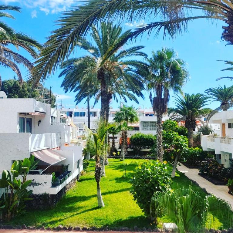Canarian blue Suite tropical garden view & Pool - Apartamento de 1 dormitorio - 25