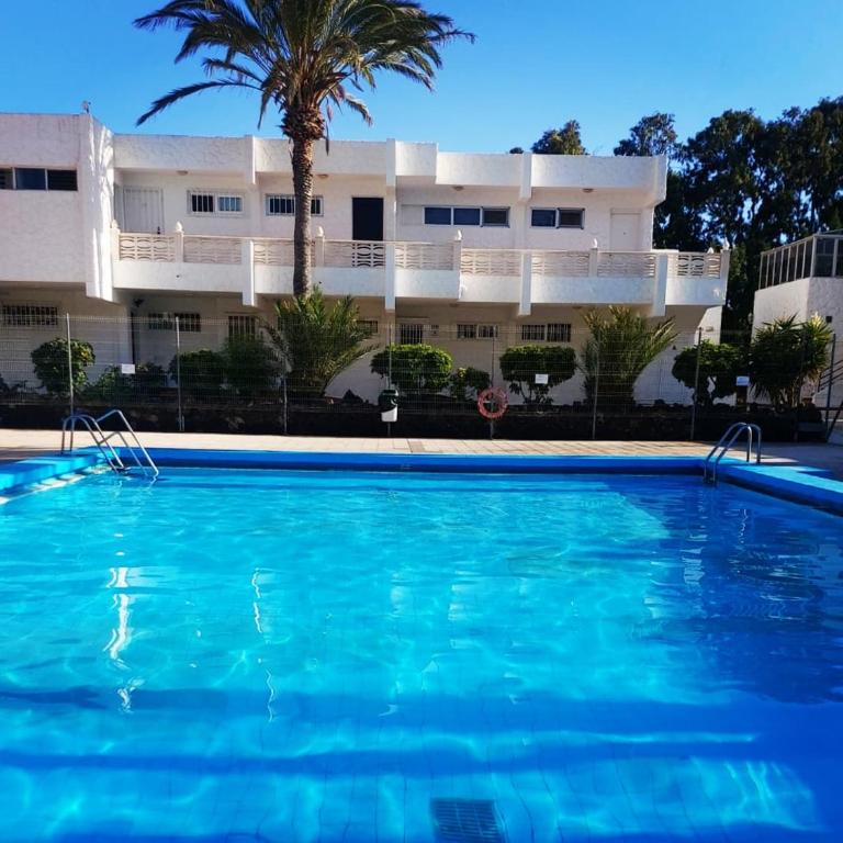 Canarian blue Suite tropical garden view & Pool - Apartamento de 1 dormitorio - 38