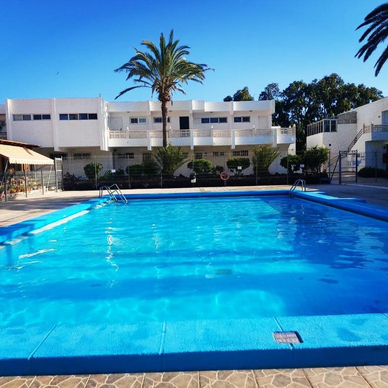 Canarian blue Suite tropical garden view & Pool - Apartamento de 1 dormitorio - 39