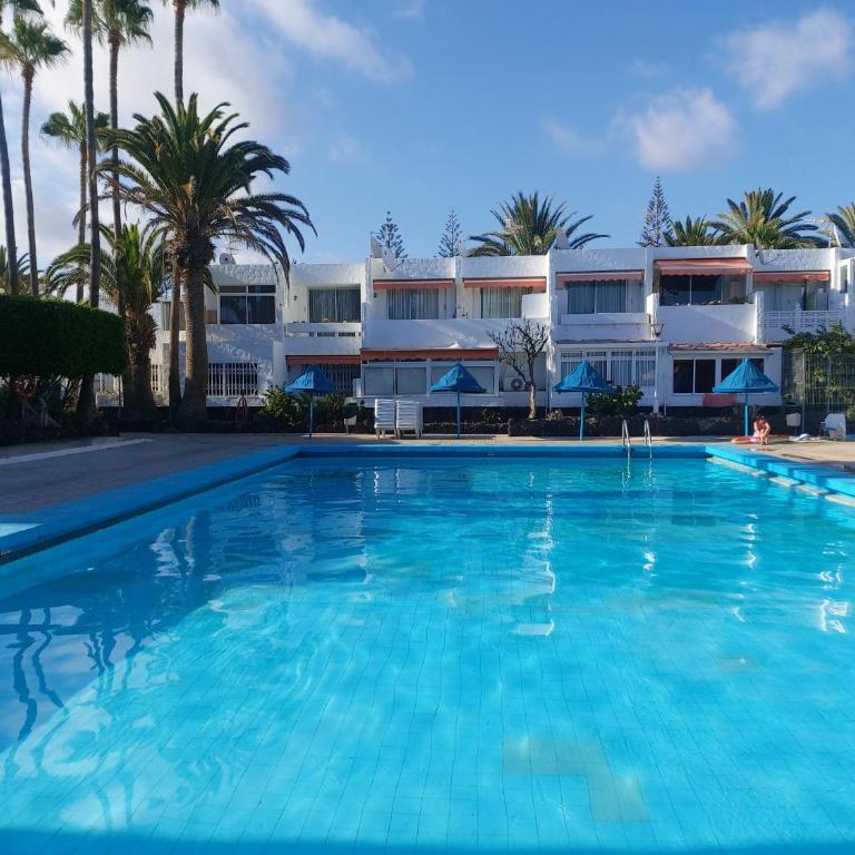 Canarian blue Suite tropical garden view & Pool - Apartamento de 1 dormitorio - 47