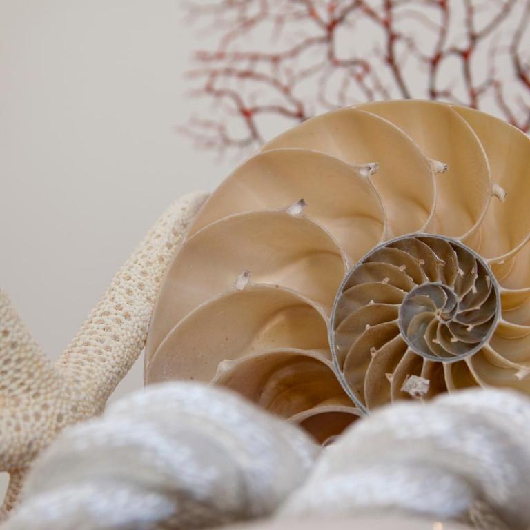 Hotel Nautilus - Junior Suite con Vasca Idromassaggio - 9