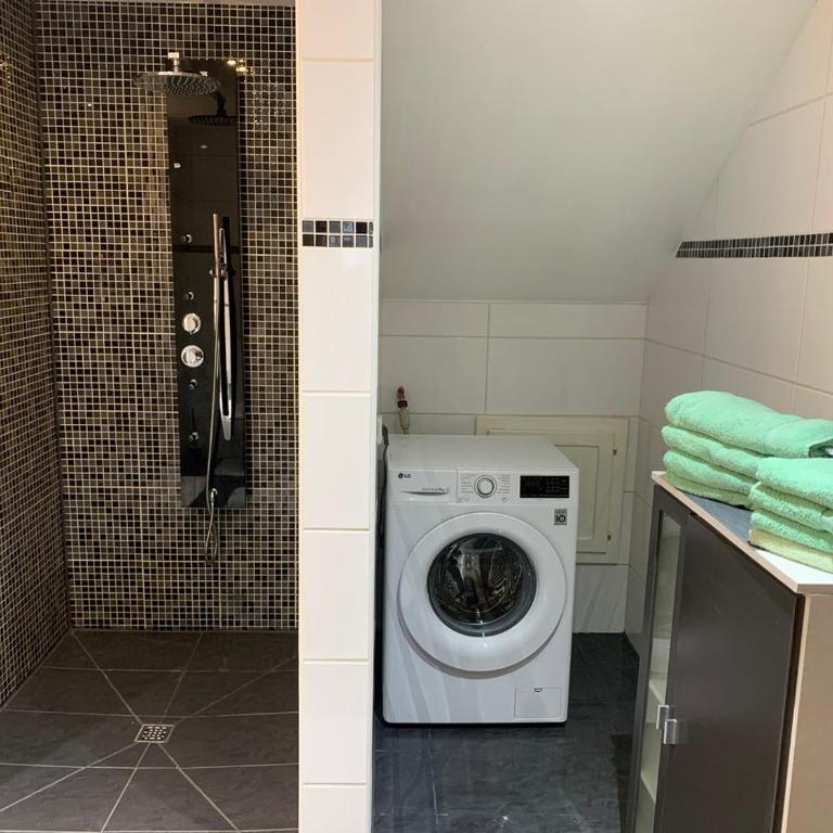 Apartment Boden - Appartamento con doccia - 21