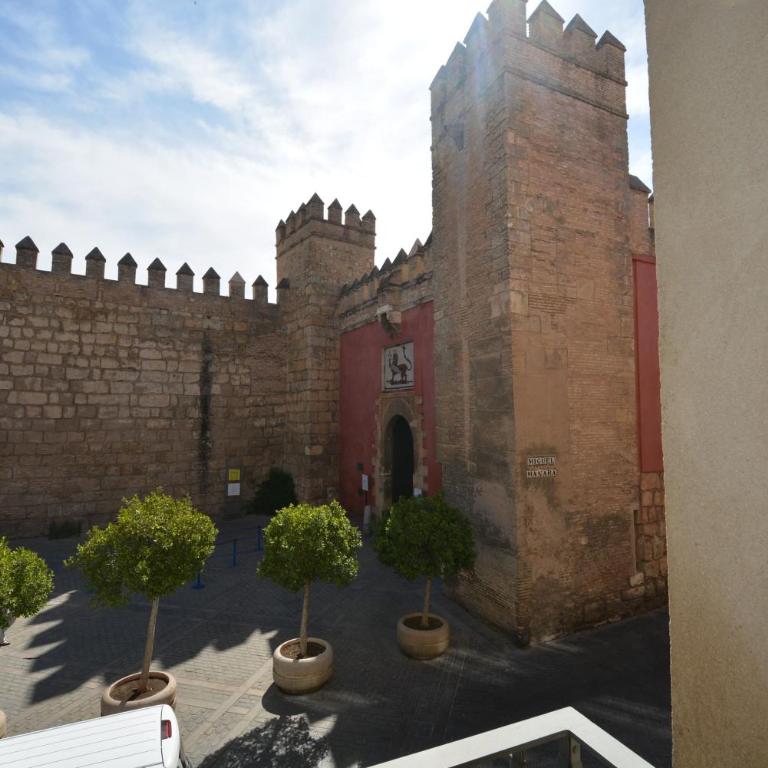 Luxury Apartment with views to Alcazar, Cathedral and Giralda. - Apartamento Superior - 20