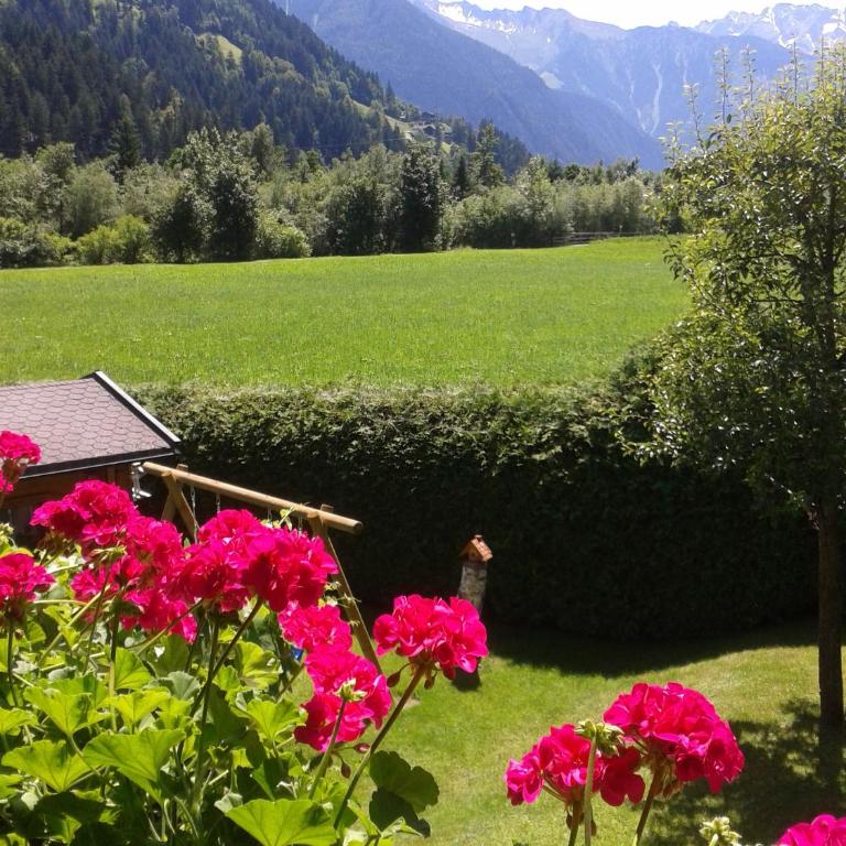 Ferienwohnung Garber - Appartement 1 Chambre avec Balcon et Vue sur les Montagnes - 10