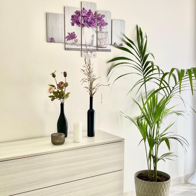 Charmrooms - Appartamento con 1 Camera da Letto - 8