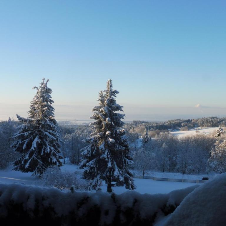 Komfortable Wohnungen und Studio in Sankt Englmar - Apartment mit schöner Aussicht - 31