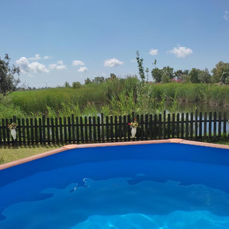 Barraca Gran - Six-Bedroom House - 3
