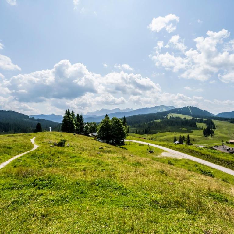 Ferienwohnung in Unterwirts Almhütte auf der Winklmoosalm - Apartment mit 2 Schlafzimmern - 5