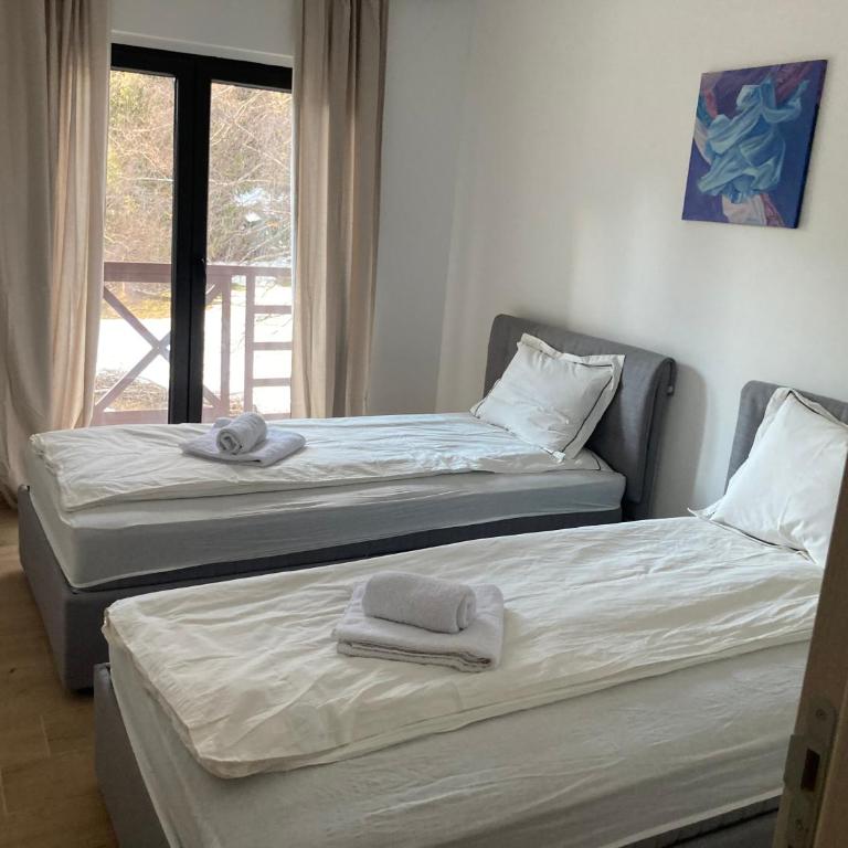 Vila Nina Kopaonik - Apartment with Terrace - 6